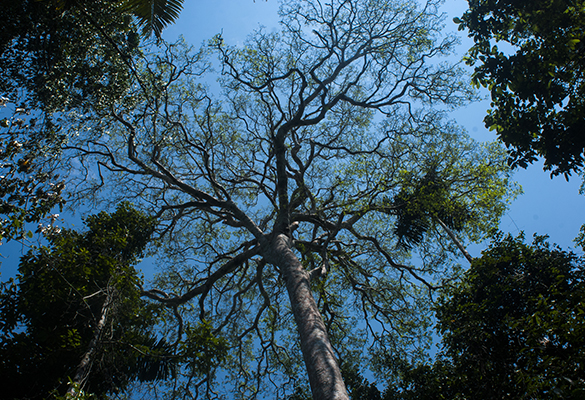 FIVE AREAS IN PERU TO GET IN TOUCH WITH NATURE